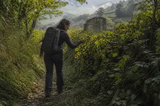 Woman in boots examining wild grapevines along a sunken rural lane, soft autumn light filtering through dense hedgerows, distant meadows and partially hidden stone wine cellar visible
